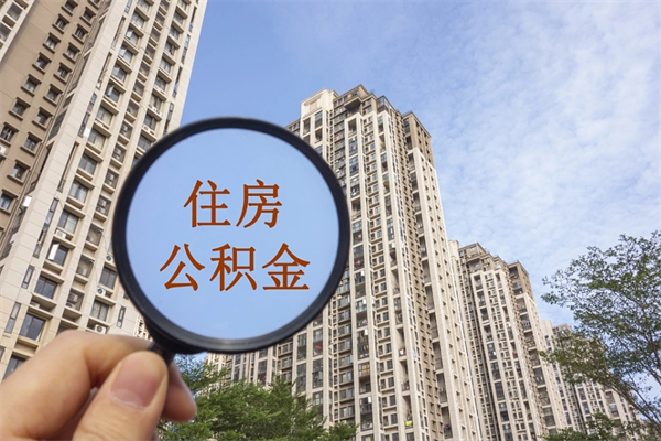 鄂州离职多久可以取住房公积金(离职多久后能取公积金) 鄂州离职多久可以取住房公积金(离职多久后能取公积金)